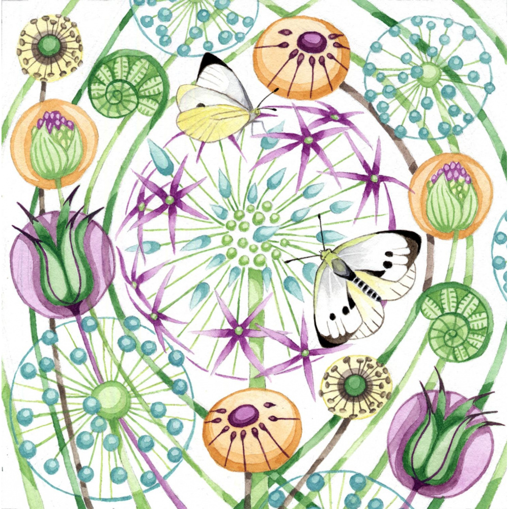 440_butterflies_and_blooms_no_border