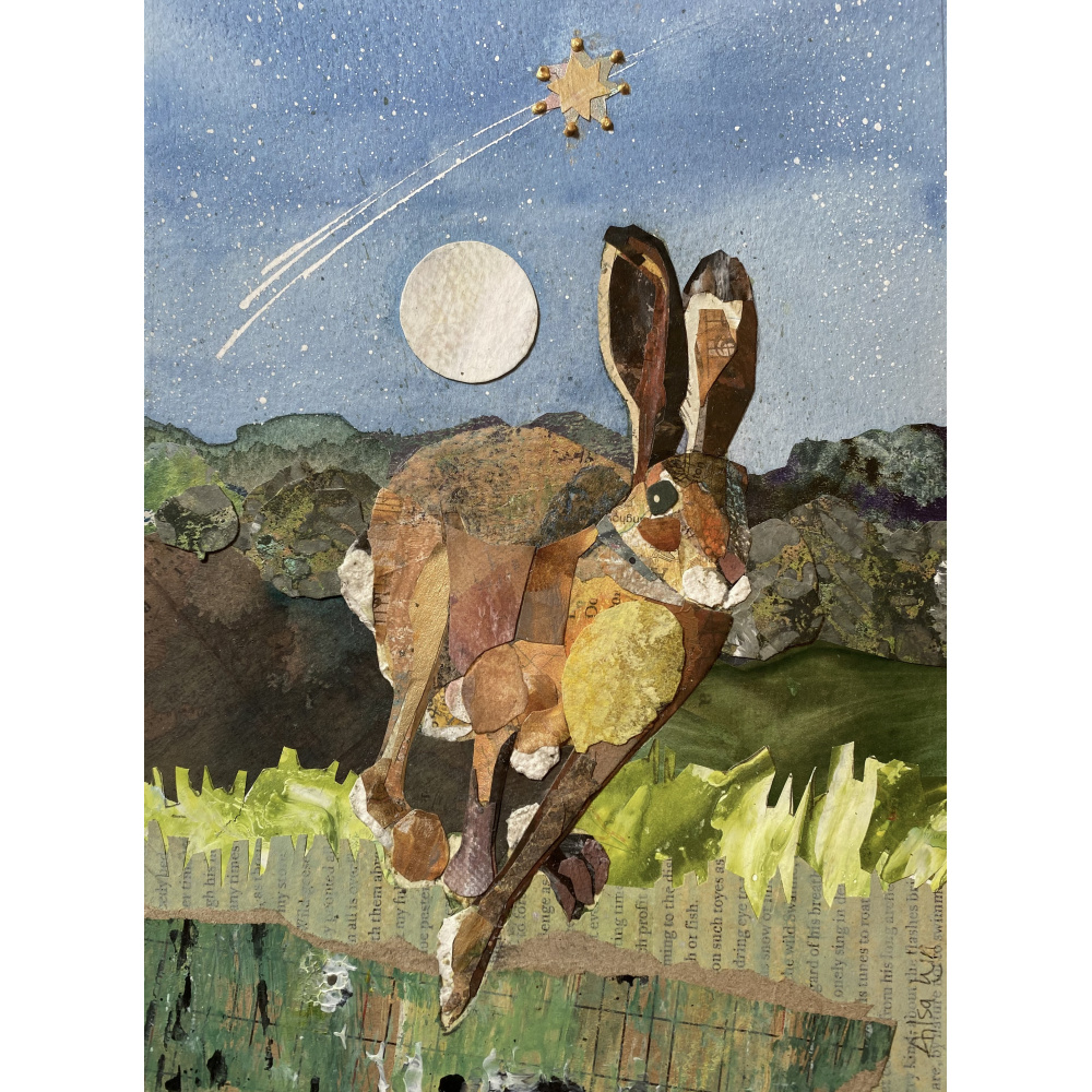al96-011-ailsa_lyn_wish_upon_a_hare