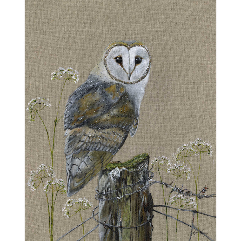 barn-owl-echo-canvas_website-334_1320625392