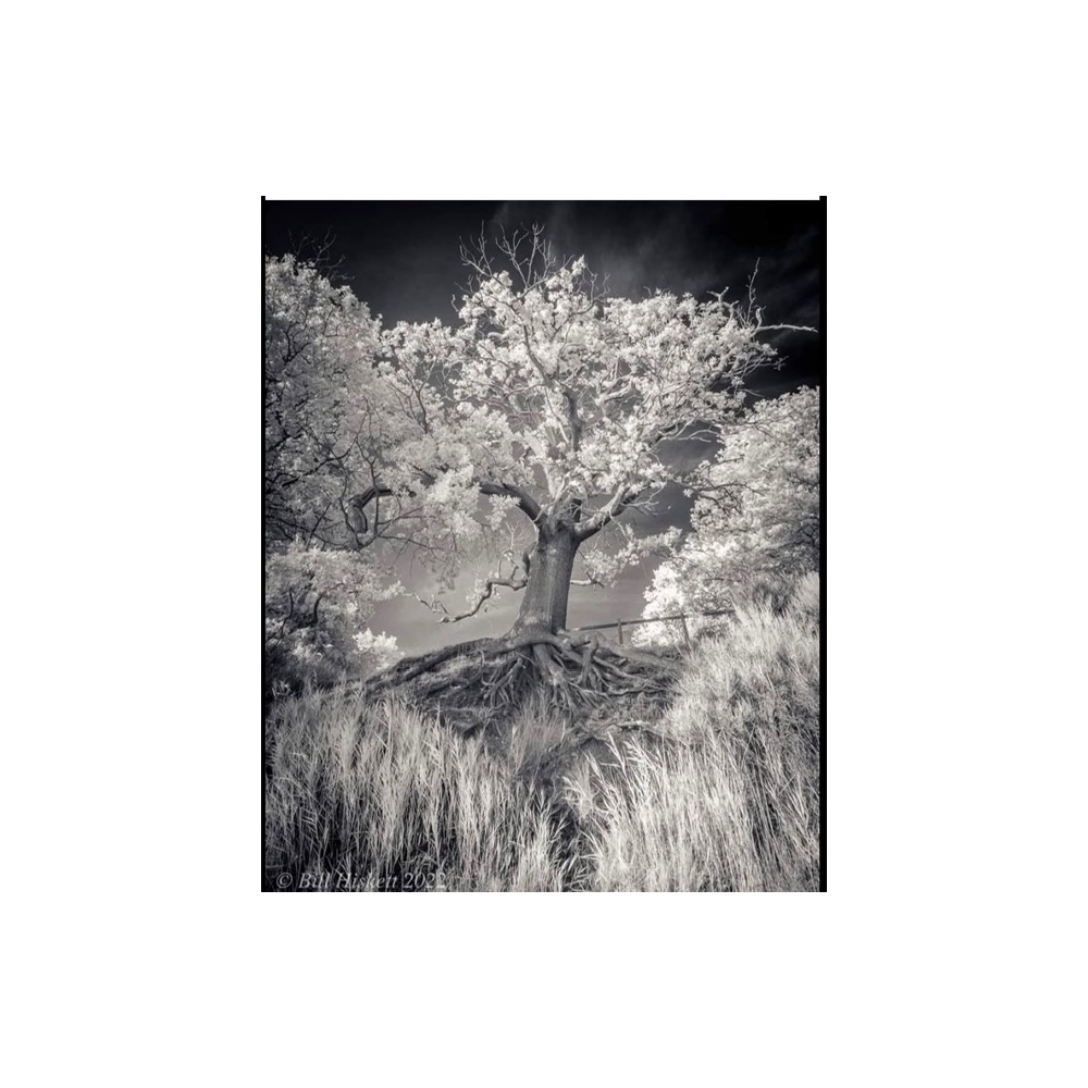 bh90-080