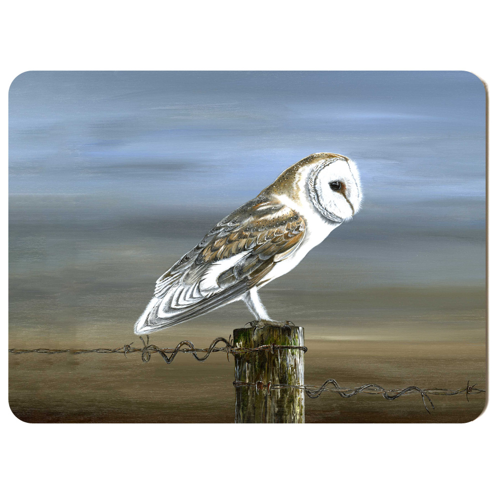 birds-of-prey-barbed-beauty-2-spart-419_placemat_sized_copy_orchard