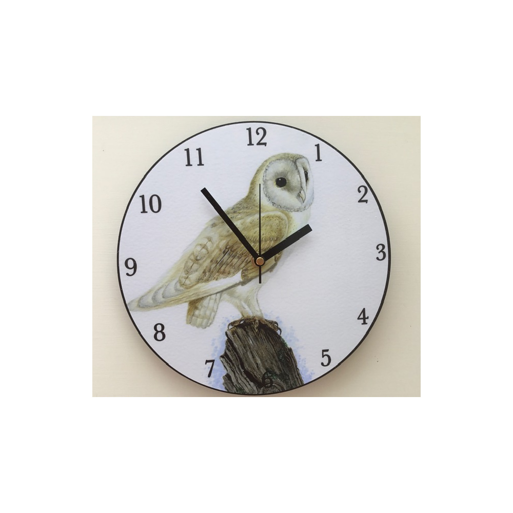 clock-birds-barn-owl_865893639