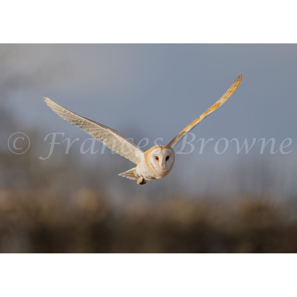 fb57-229-flight_path