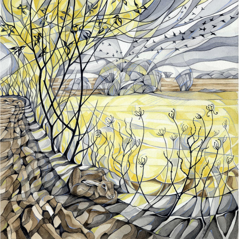 field_edge