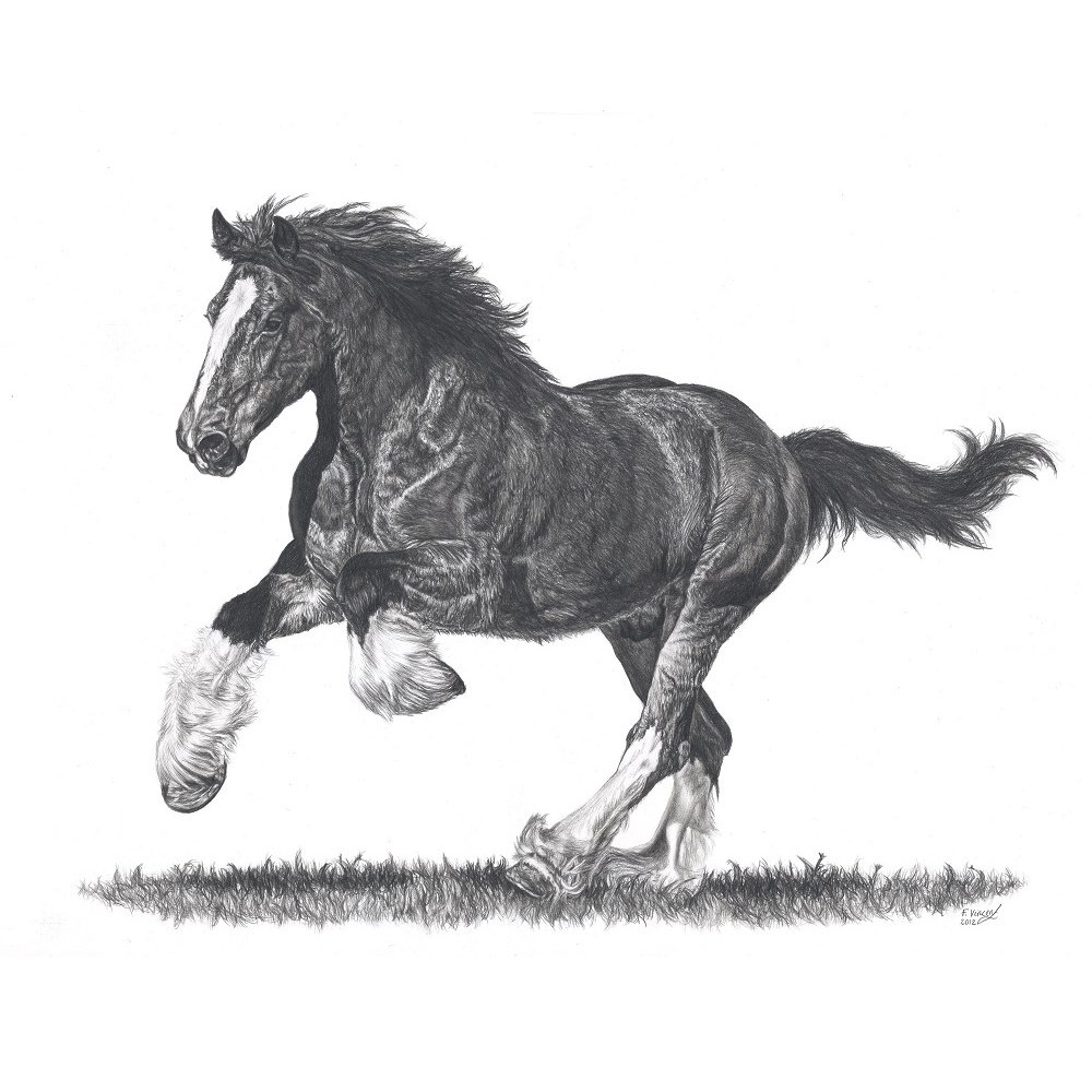 fv32-286_-_strength__nobility