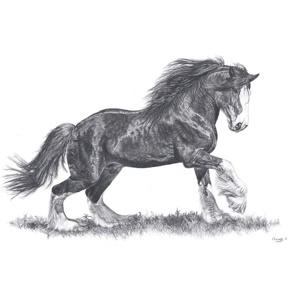 fv32-287_-_shire_horse