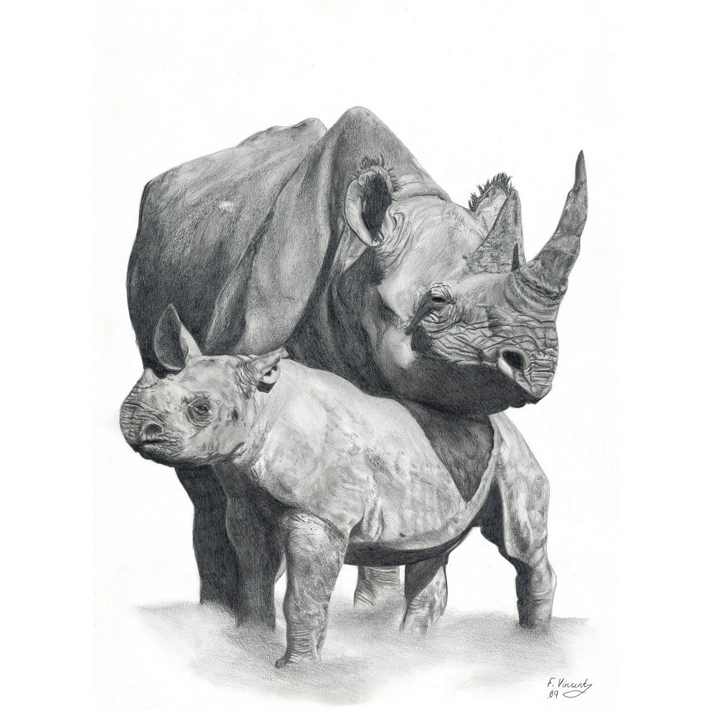 fv32-292_-_mother__baby_rhino