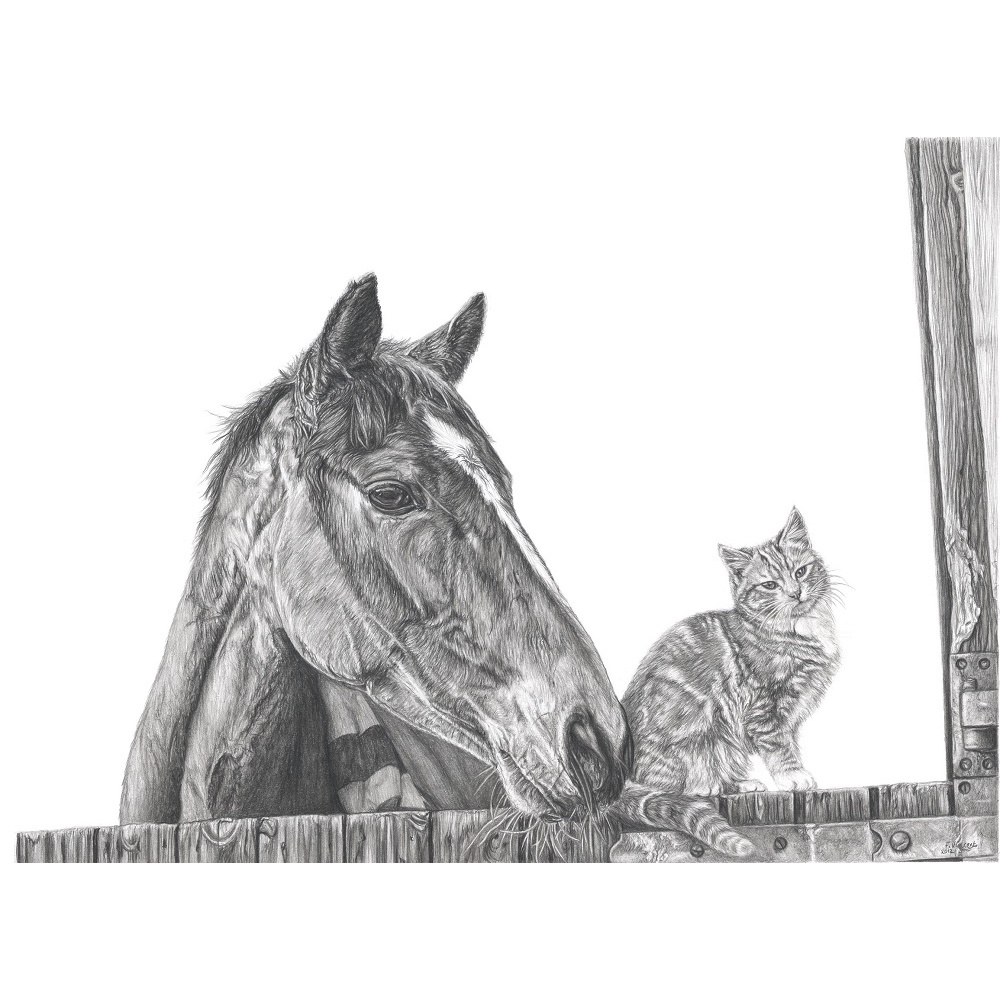 fv32-297_-_unlikely_friends