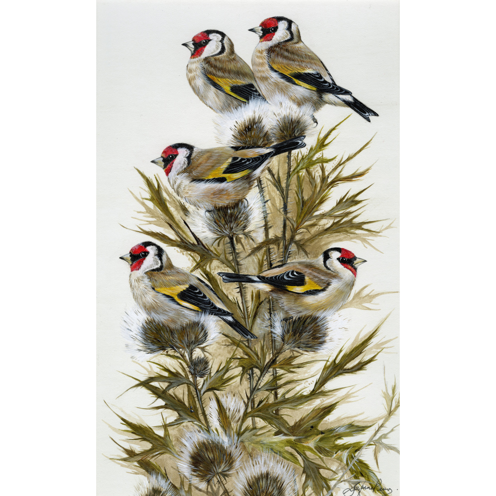 garden-birds-paintings-goldfinches-five-gold-rings-suzanne-perry-art-288_for_website__1117652365