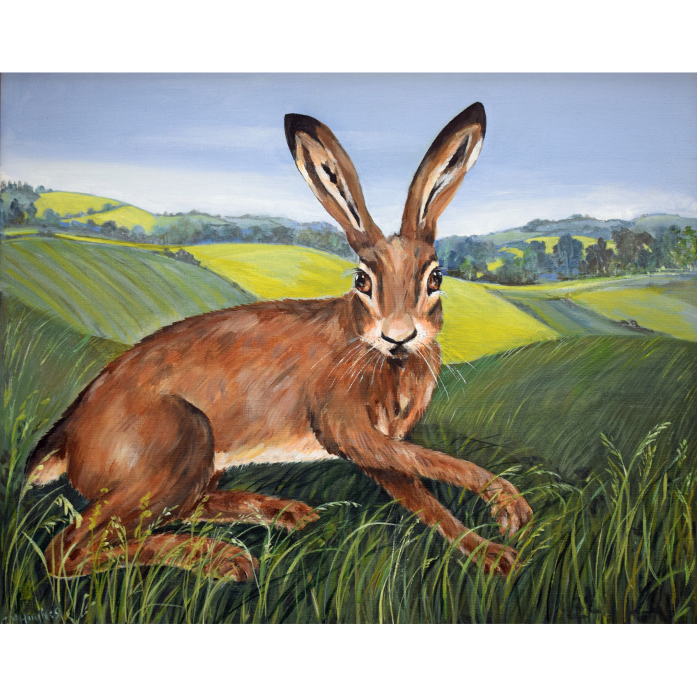 gh50-372_-_green_fields_hare