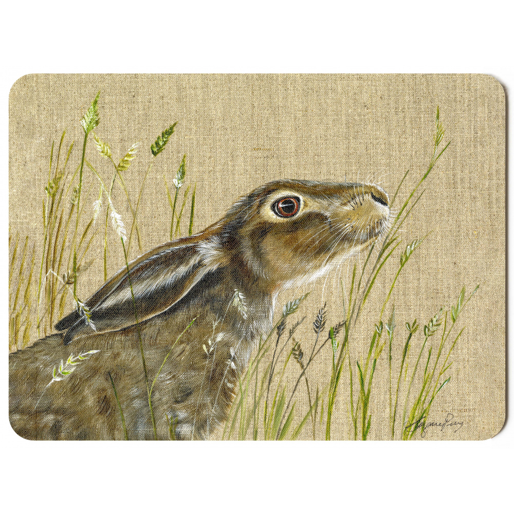hare-dixie-canvas_-_292x216_-_spart_336_copy