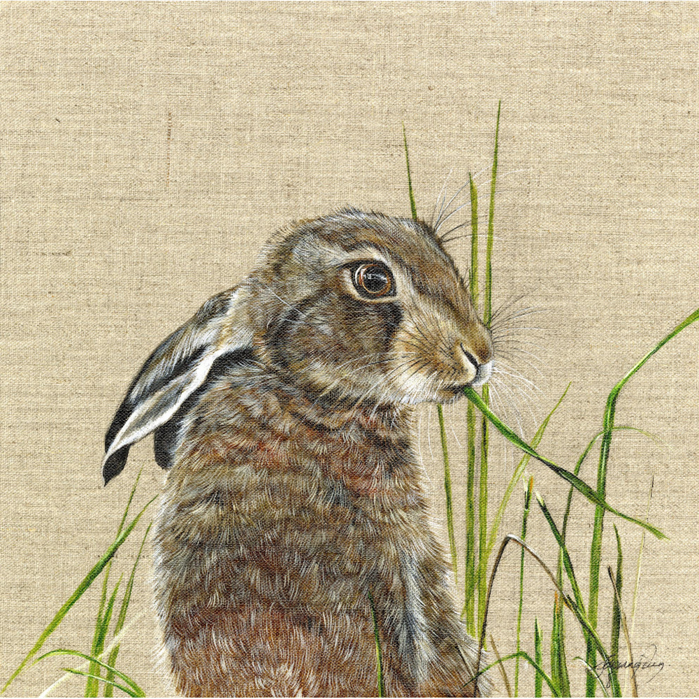 hare_-_harriet-canvas-1-310-website_906217386