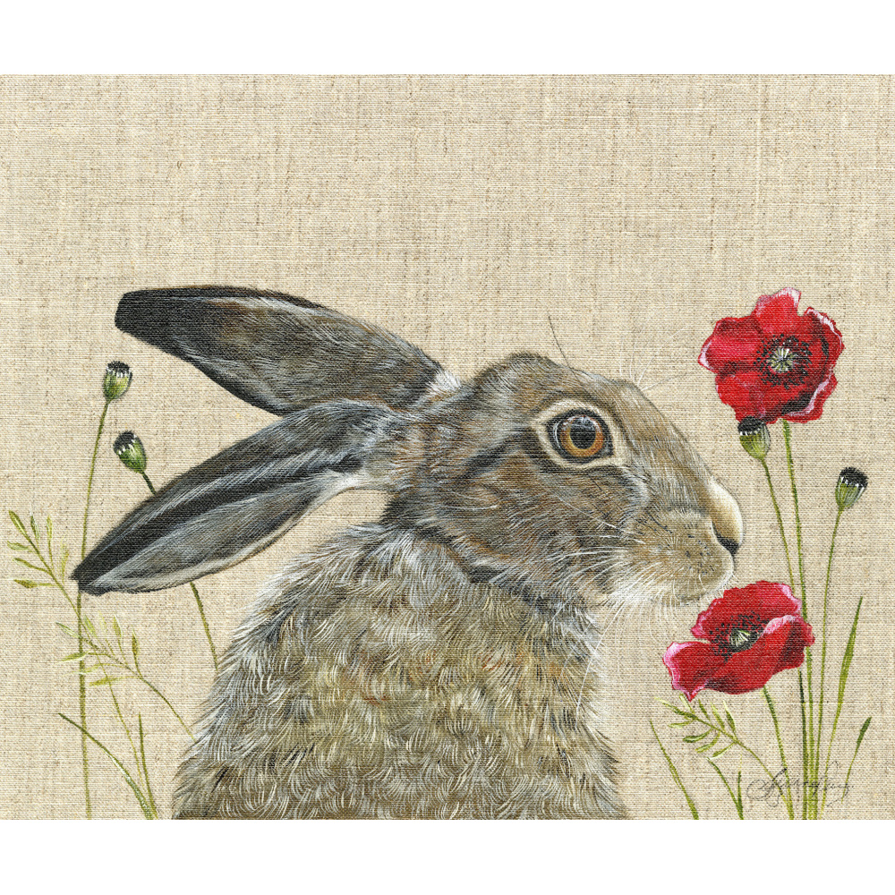 hare_-_poppy-canvas-314_website_1946531606