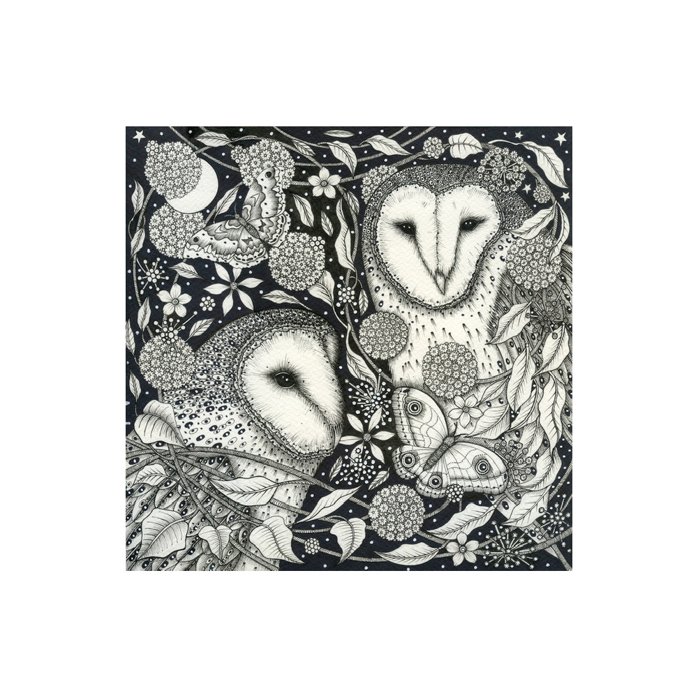 kg29-001_-_two_wise_owlse