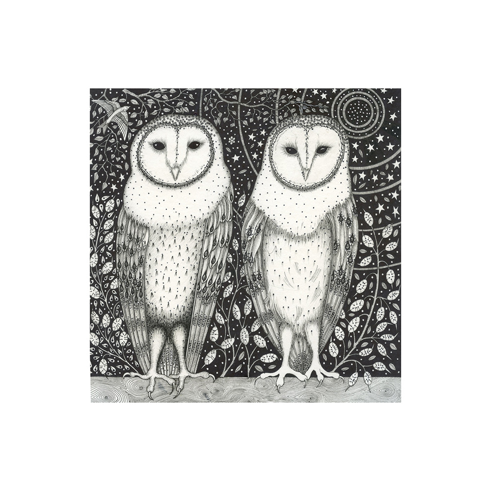 kg29-004-noahs_barn_owlse