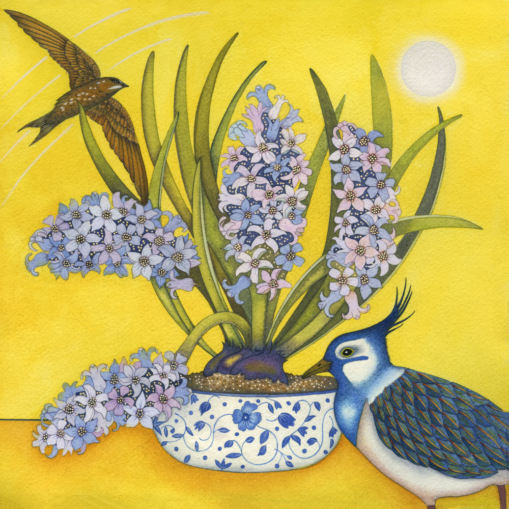 kg29-023-spring_hyacinths