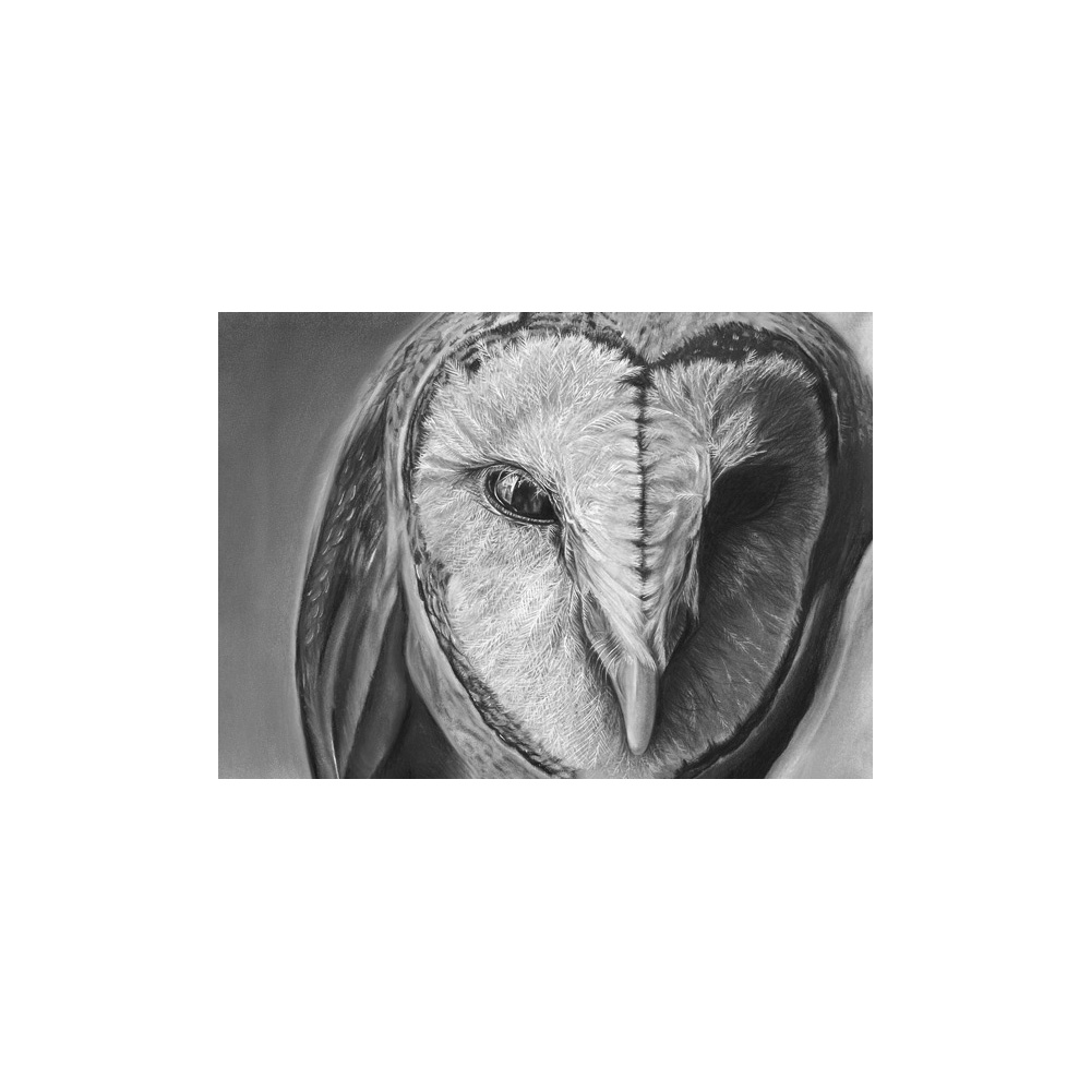 lg28-004_-_owl