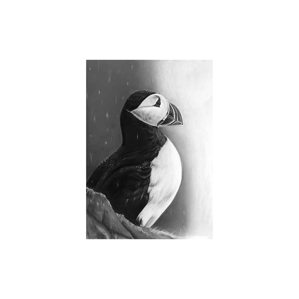 lg28-006_-_puffin