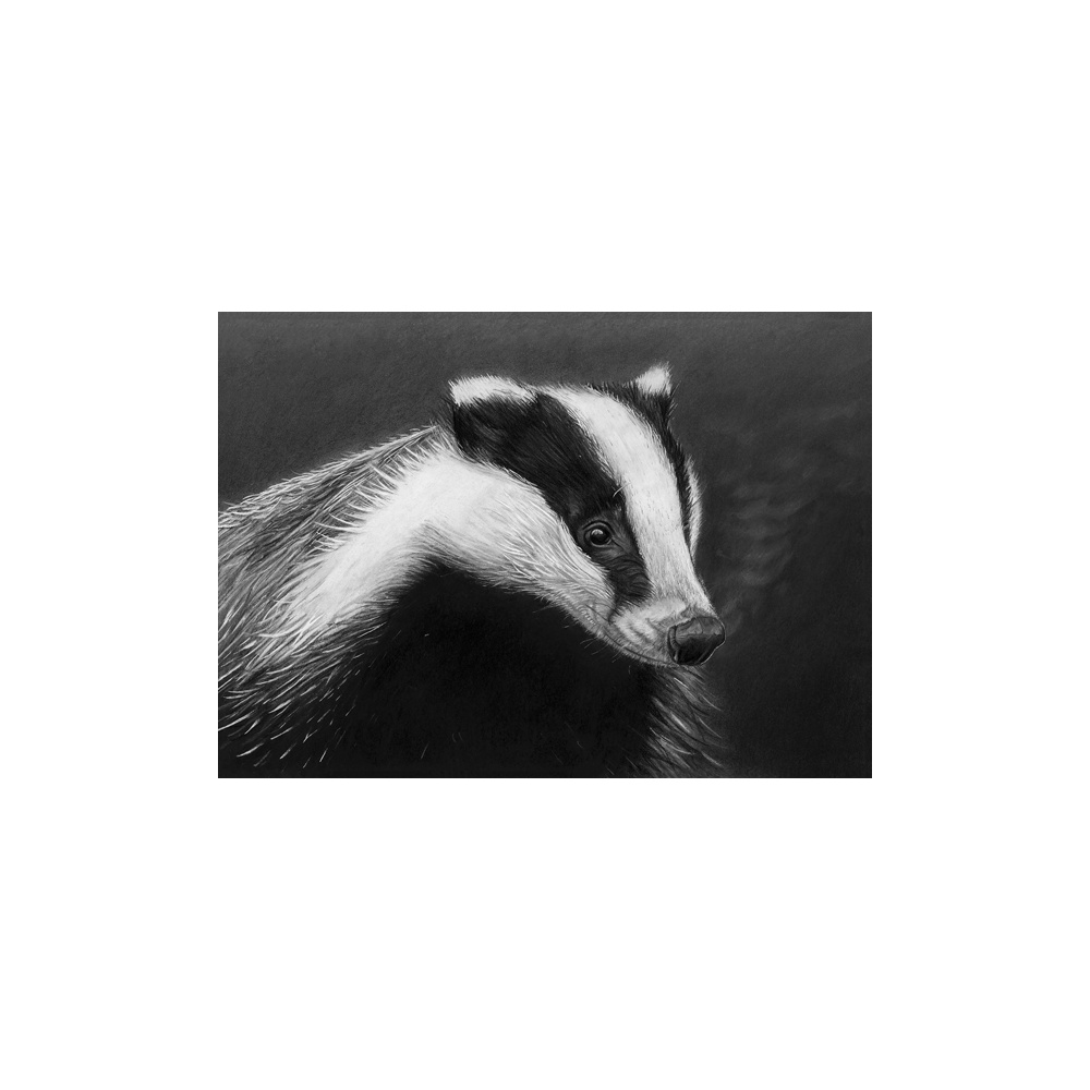 lg28-014_-_badger