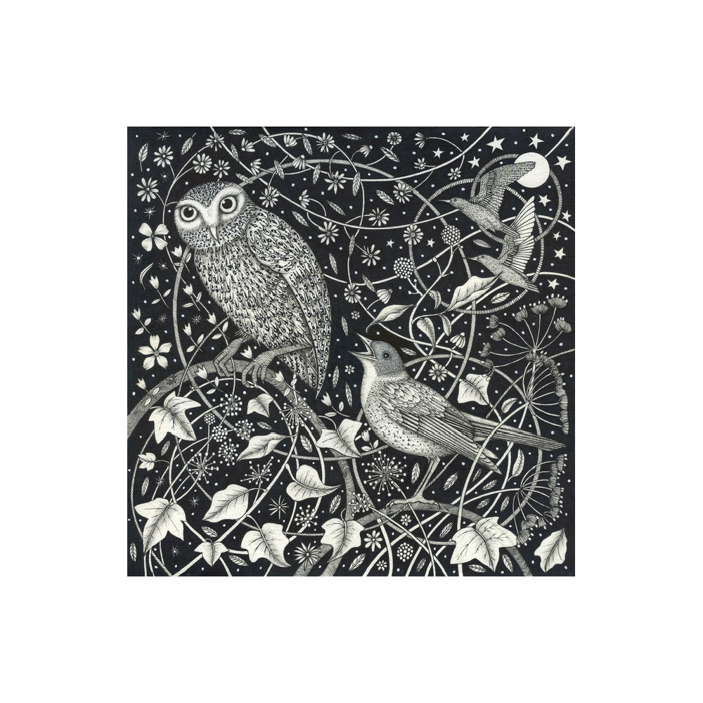 ng29-003_-_the_owl_and_the_nightingalee