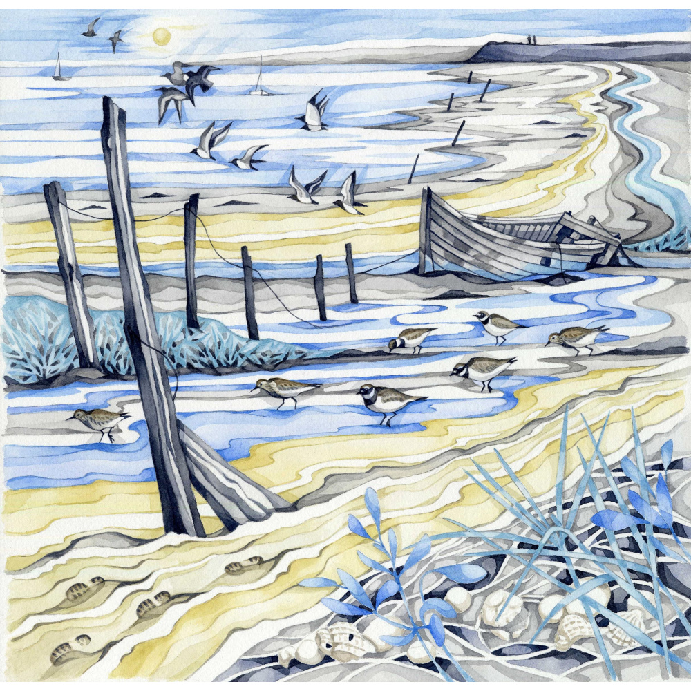 shoreline_walk