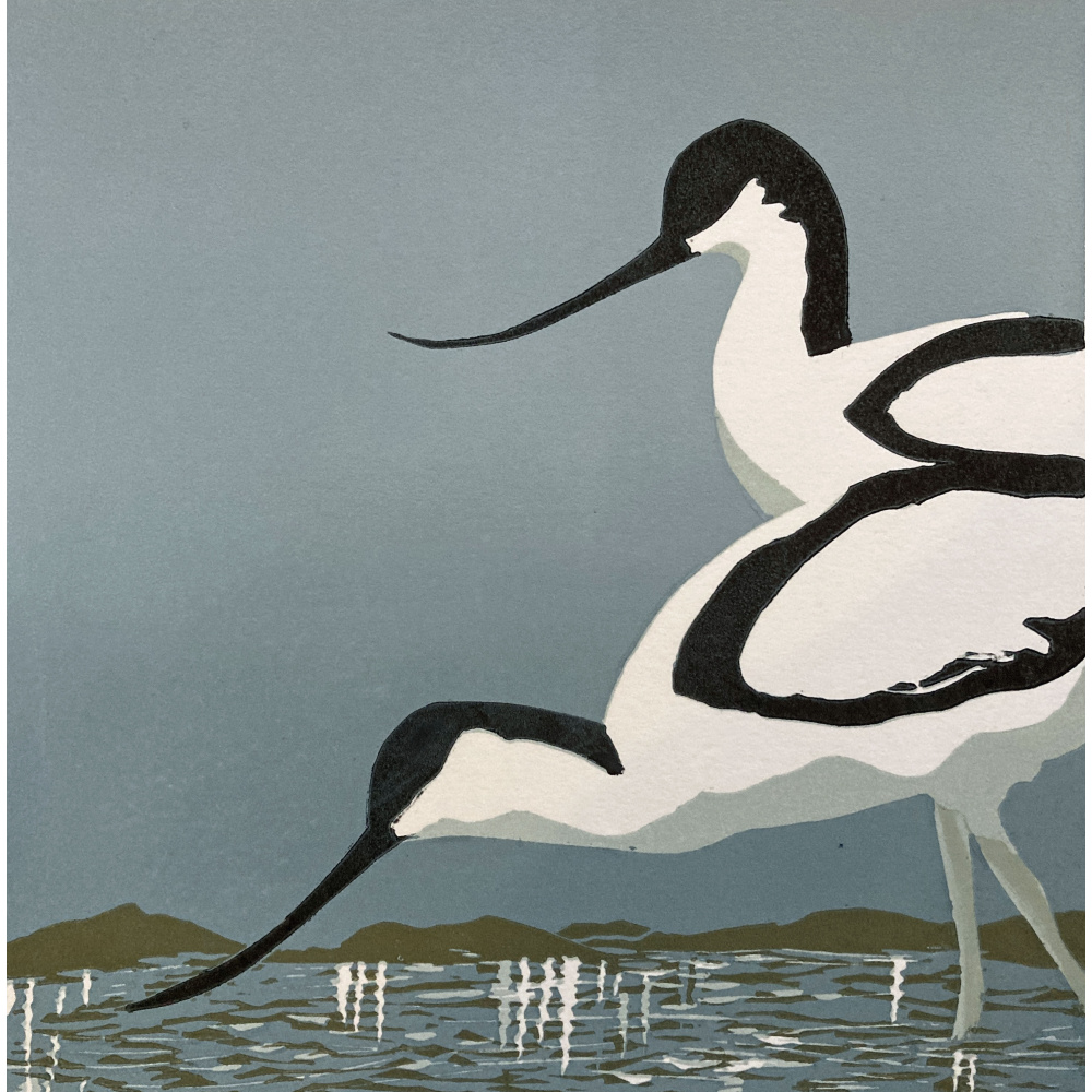smw93-050-avocets_986860436