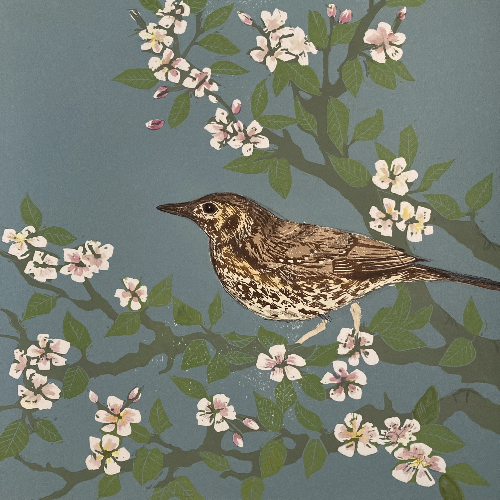 smw93-066-blossom