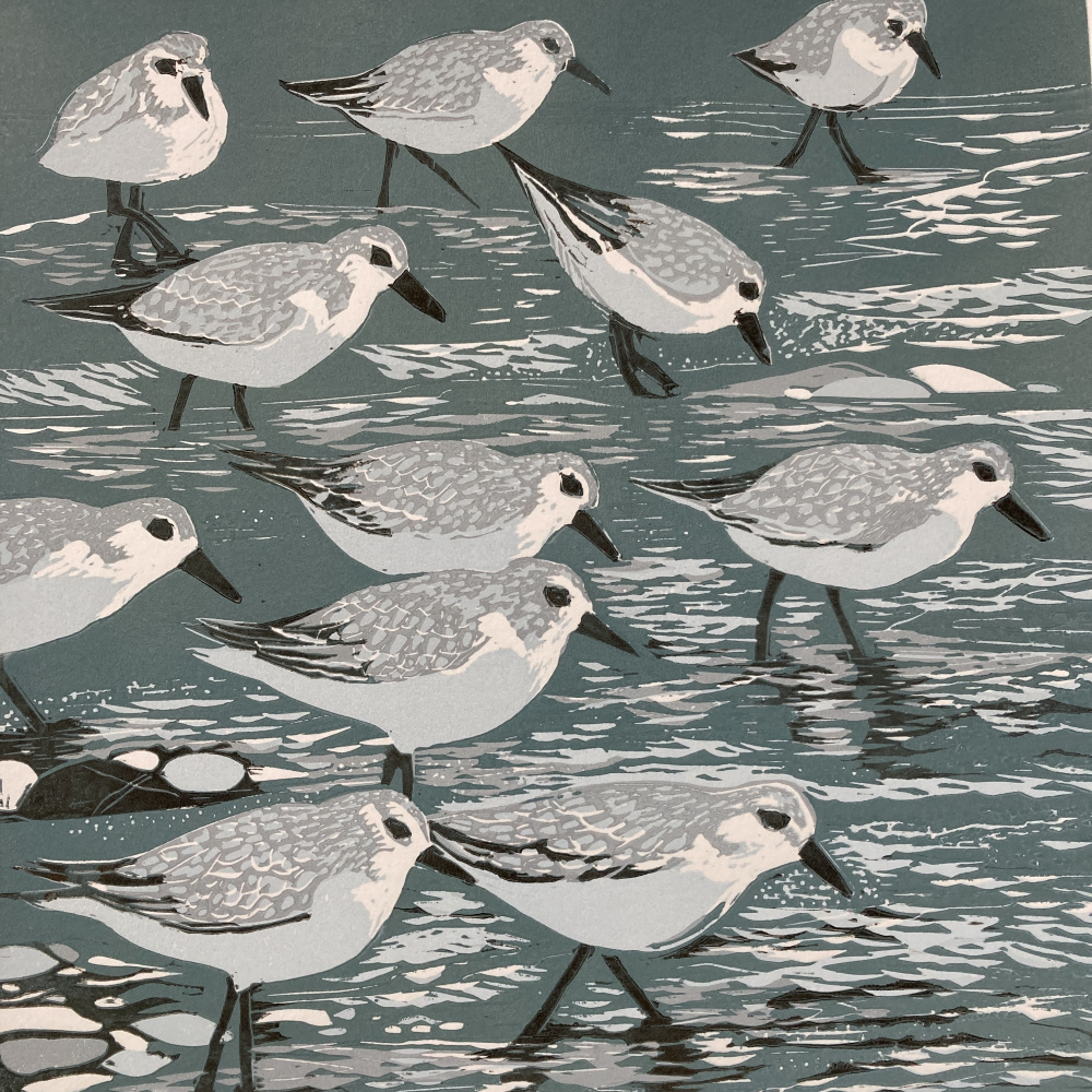 smw93-084_sanderlings-_waters_edge