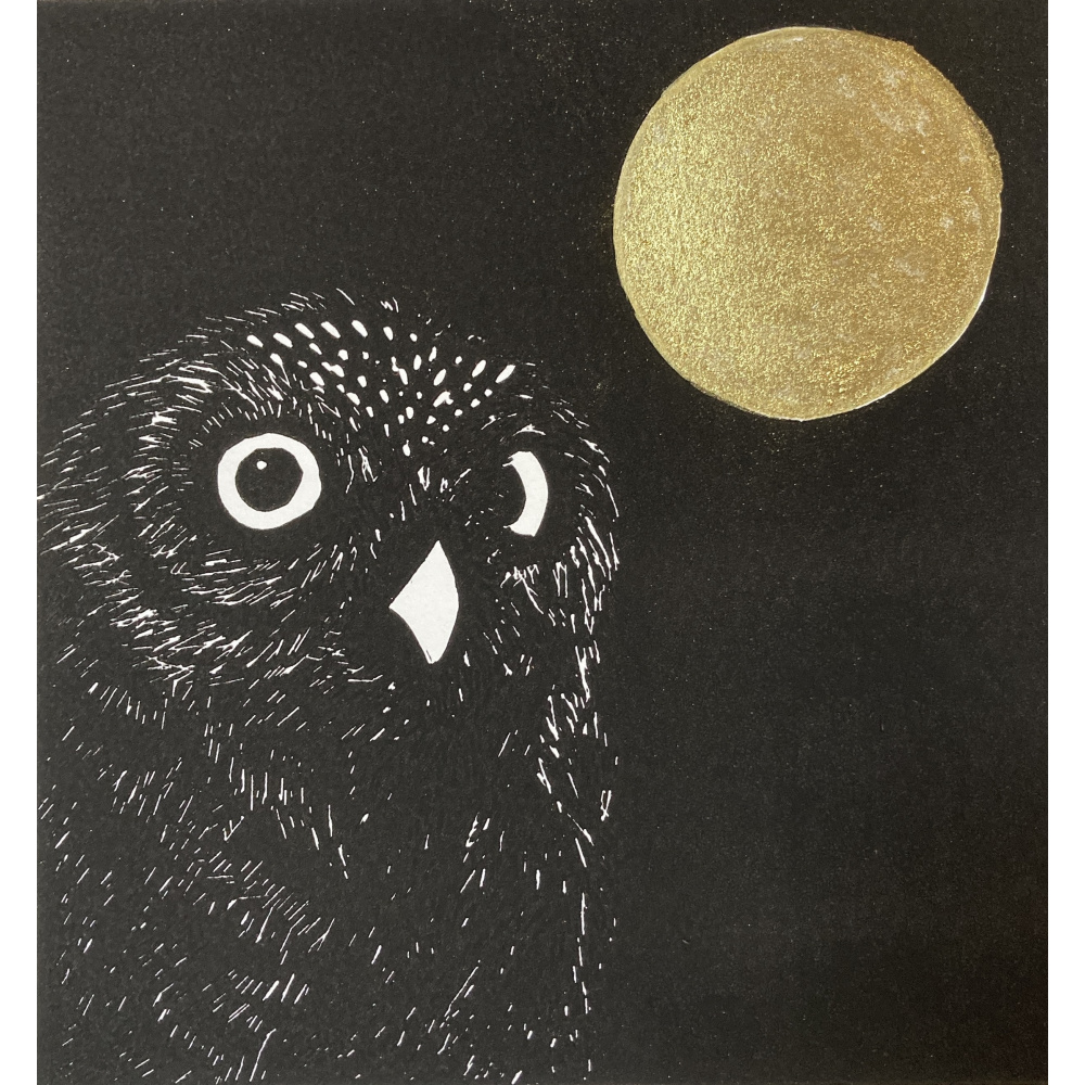 smw93-092_moon_owl