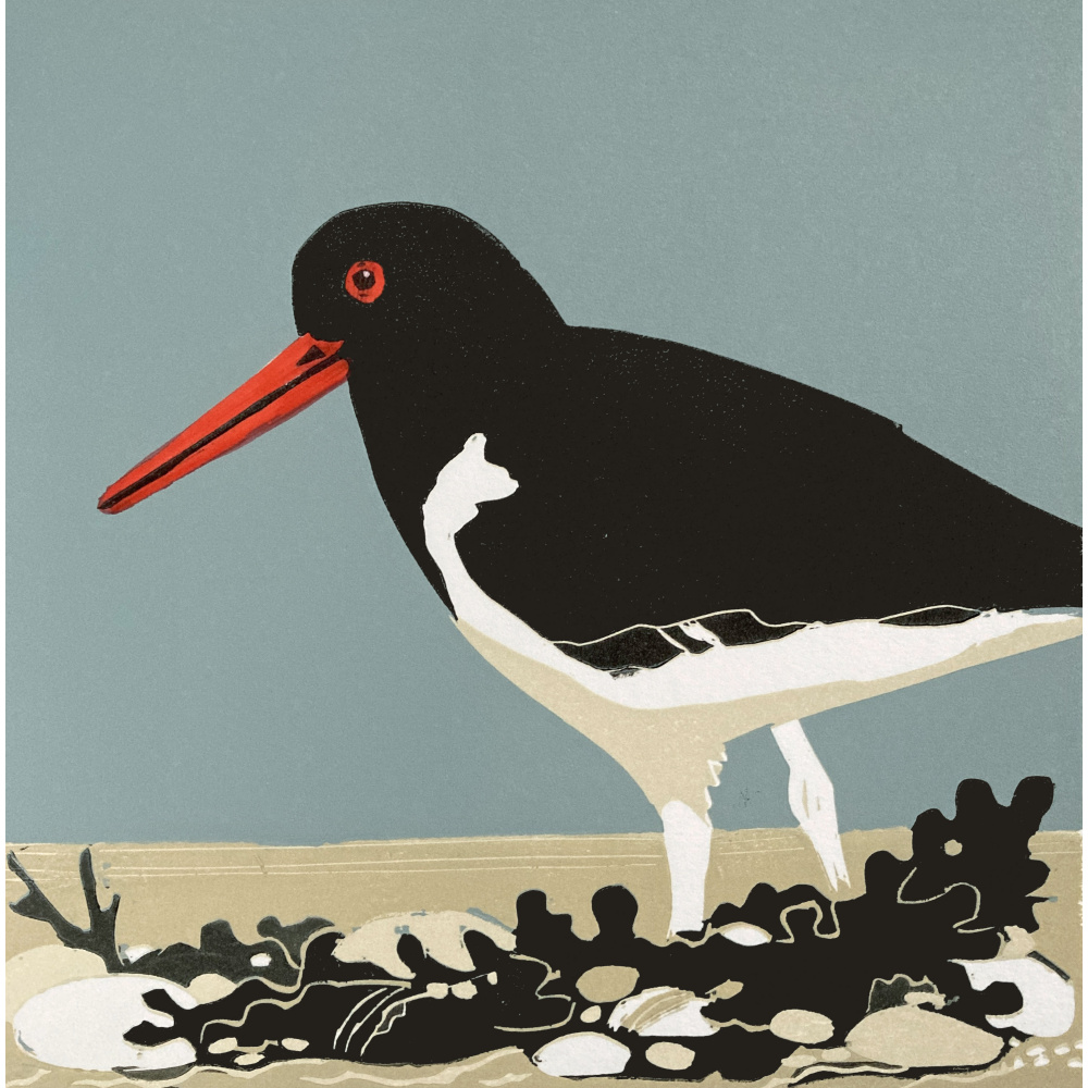 smw93_-_044_-_oystercatcher_30x30