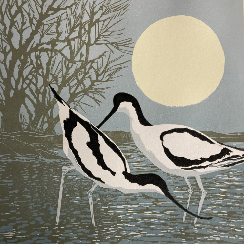 smw93_-_086_-_avocets_s_morning_50x50