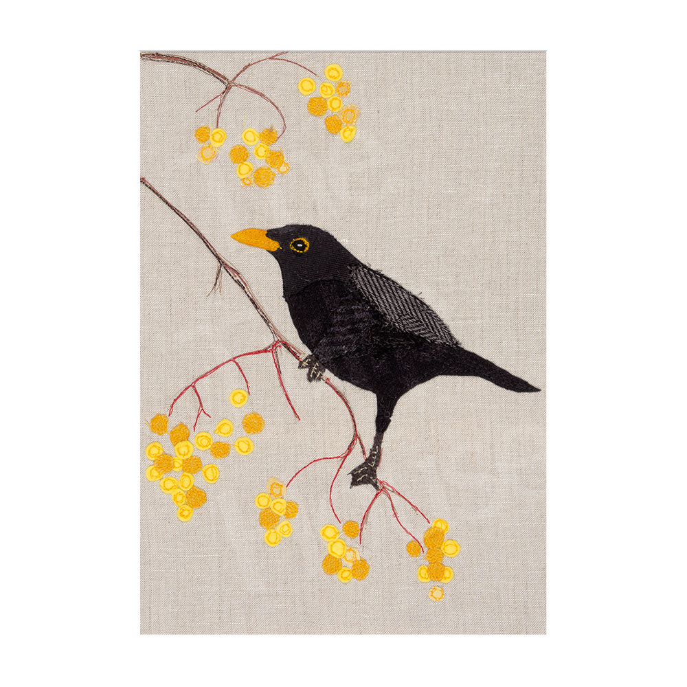 th64-119__-_blackbird_16x12
