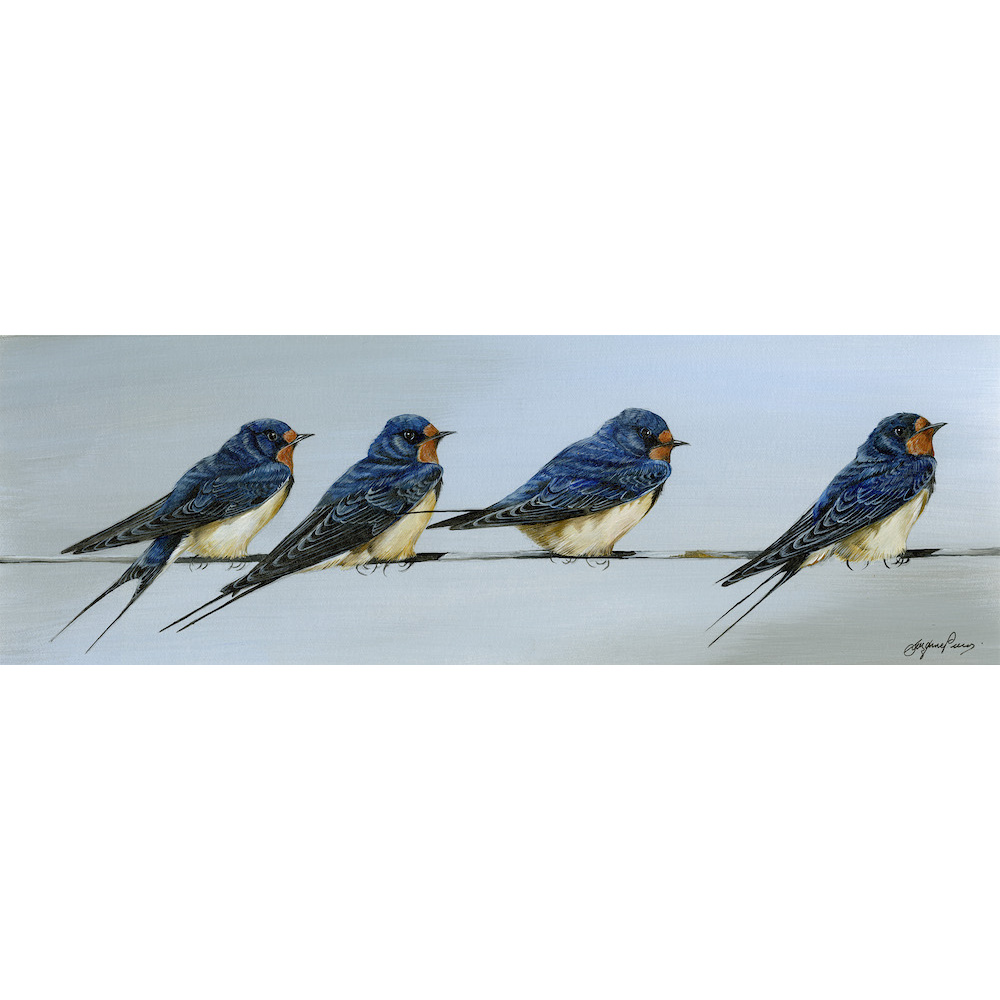 visiting-birds-paintings-swallows-summertime-suzanne-perry-242_1735371890