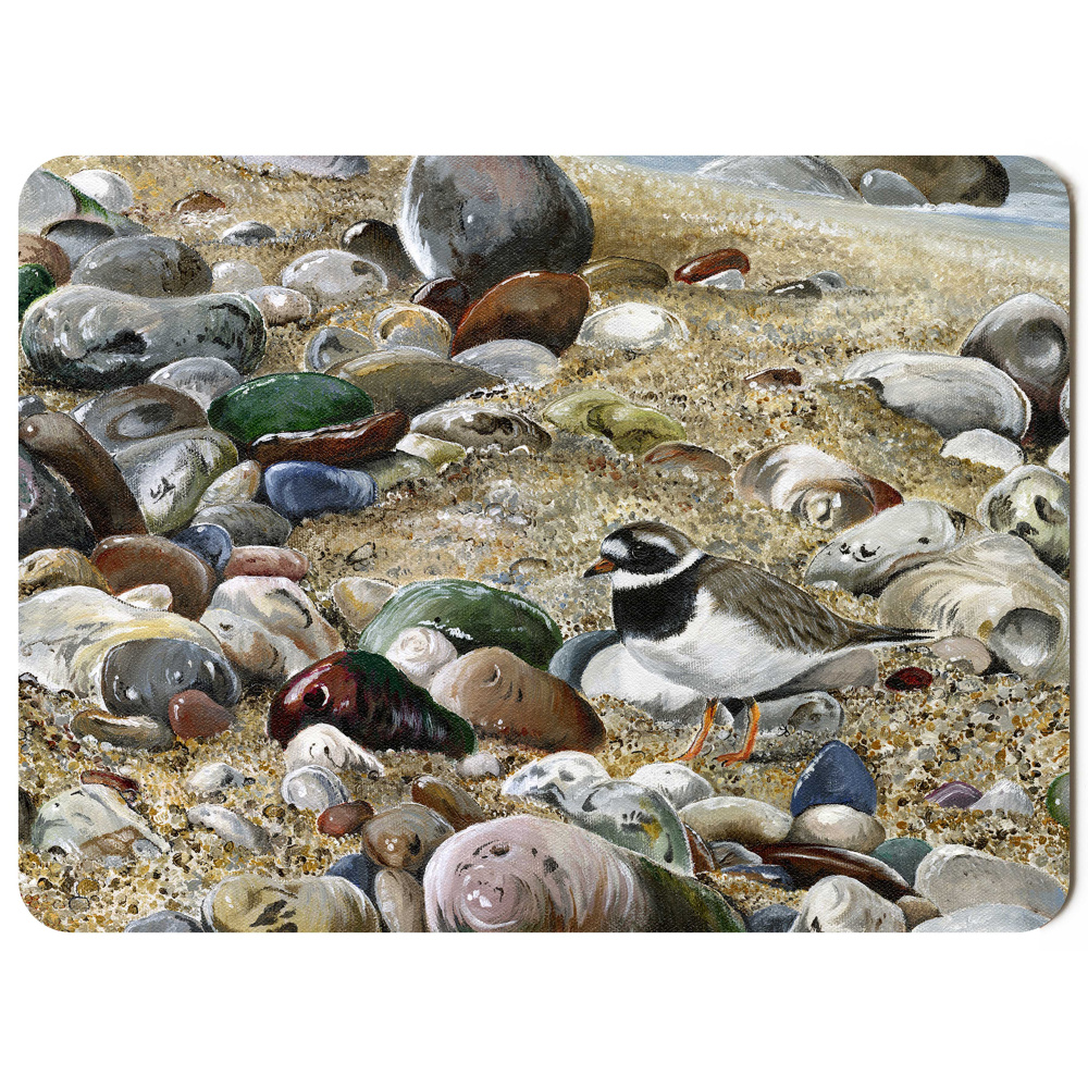 water-and-coastal-ringed-plover-spart-422_placemat_sized_copy_ringed_plover