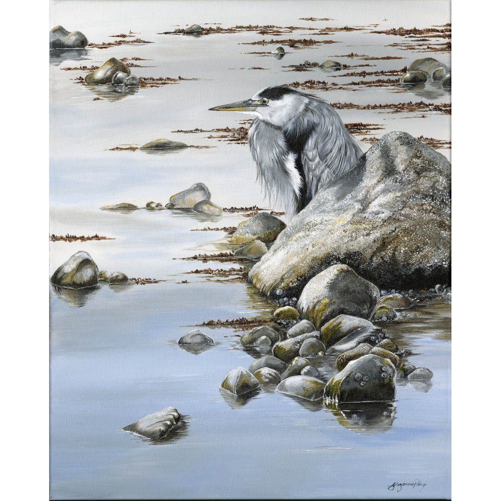 water-and-coastal-still-waters-heron-spart-431