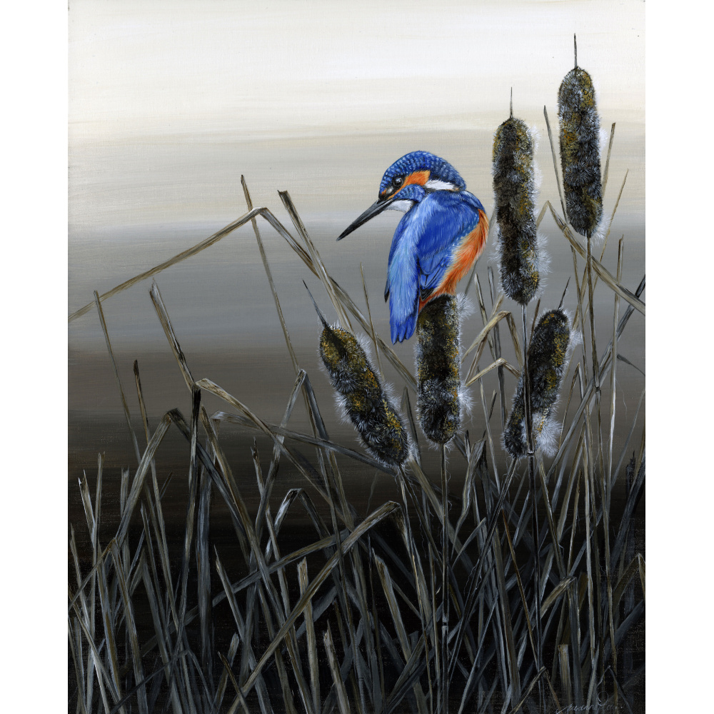 water-and_coastal-king-of-the-reeds-spart-413_1473099827