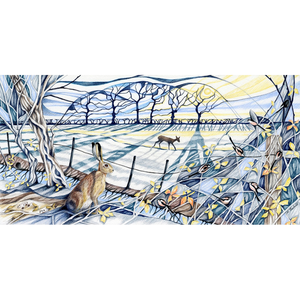 wendy_theobald_morning_meadows_461