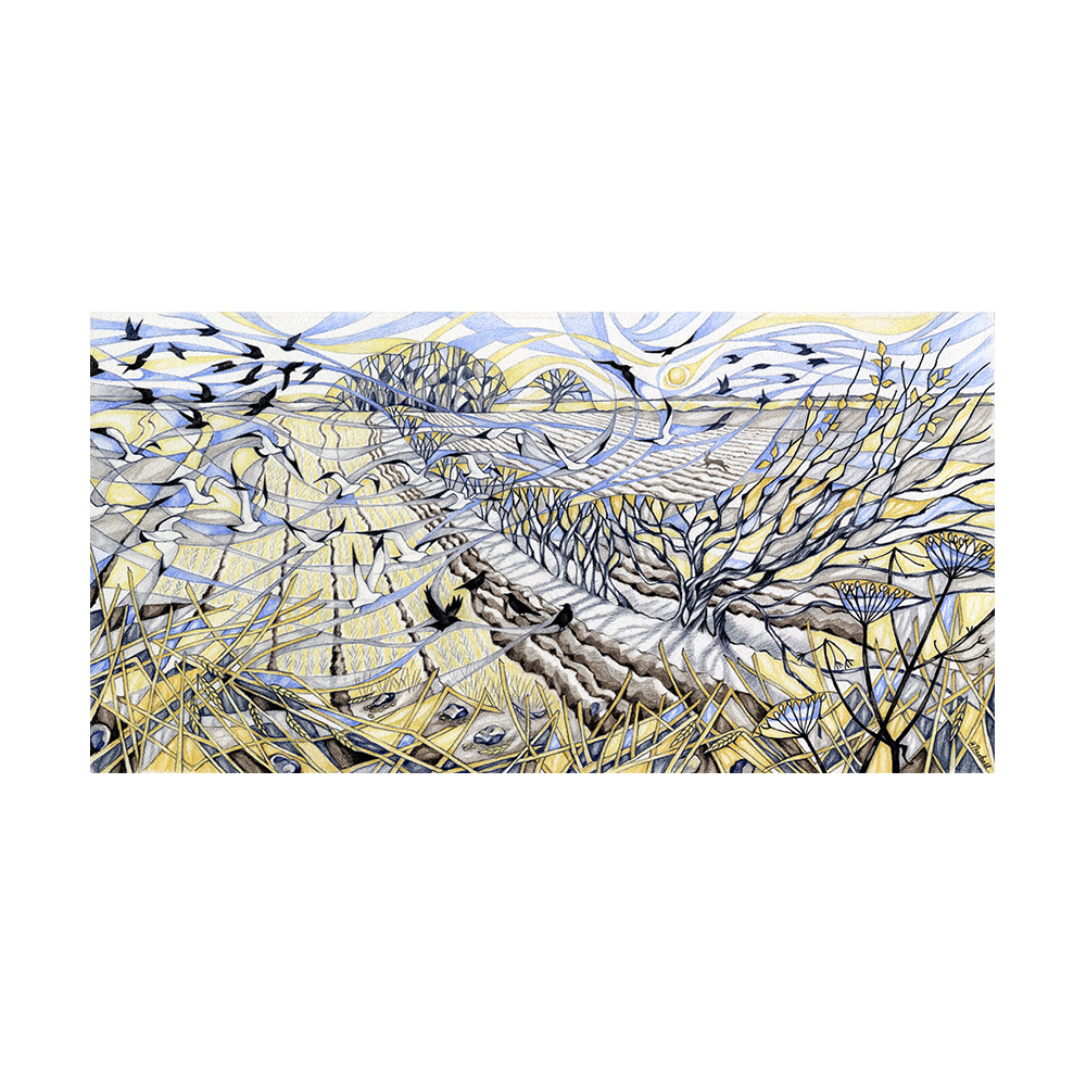 wt09-244_-_september_fields_428691270