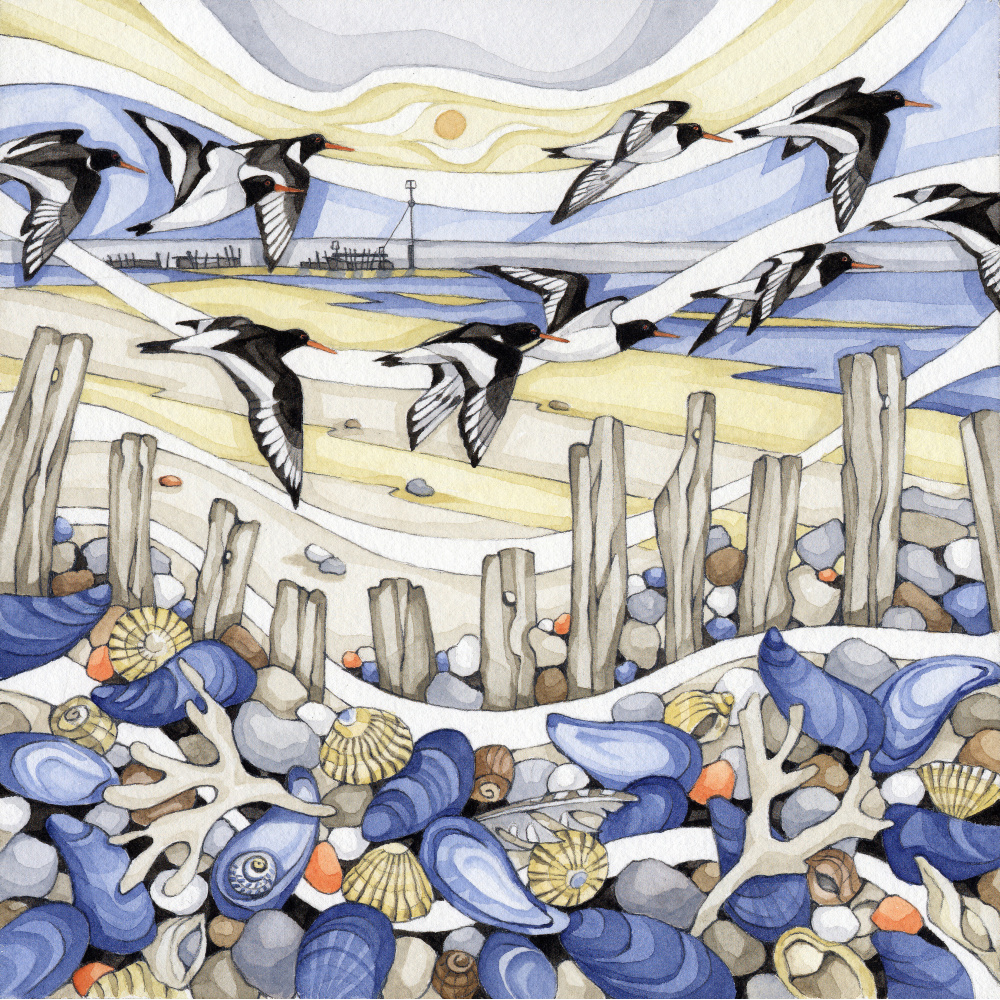 wt09-360-coasting_oystercatchers