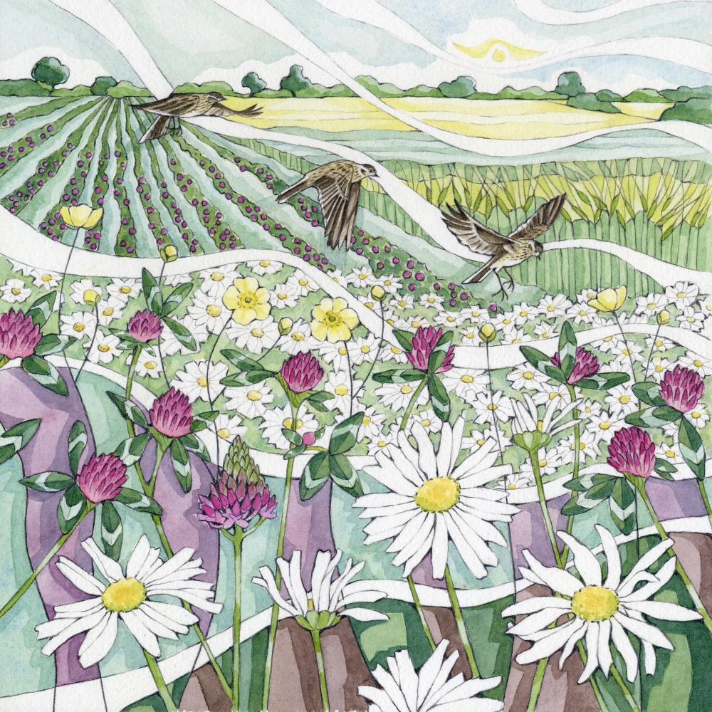 wt09-375-hovering_skylarks