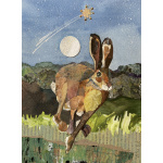 al96-011-ailsa_lyn_wish_upon_a_hare