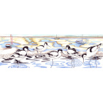 avocets_1100865400