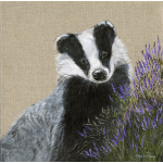 badger-brock-spart-417_1752172889