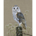 barn-owl-copper-canvas-333-website