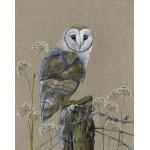 barn-owl-echo-canvas_website-334_1320625392