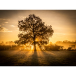 bh90-003-bures_sunrise_39_x_29_c_bill_hiskett