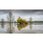 bh90-067__flooded_fields_lamarsh