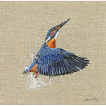 birds-kingfisher-splash-website