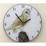 clock-birds-barn-owl_865893639