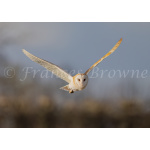 fb57-229-flight_path